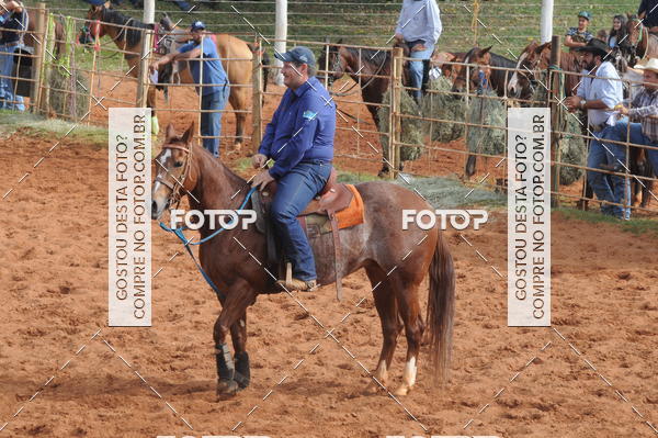 Buy your photos of the eventCAMPEONATO ACC TEAM PENNING SEGUNDA ETAPA on Fotop