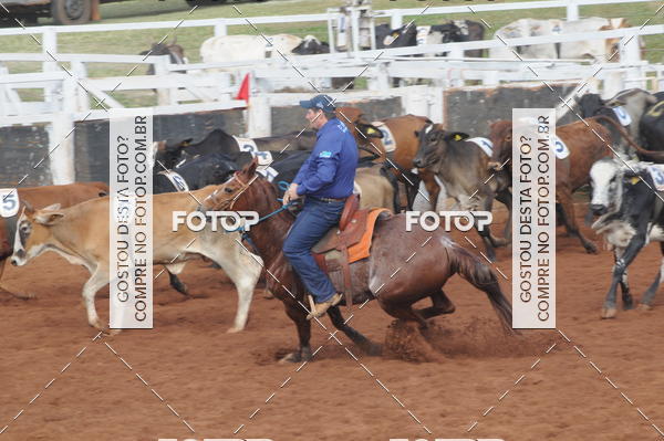Buy your photos of the eventCAMPEONATO ACC TEAM PENNING SEGUNDA ETAPA on Fotop