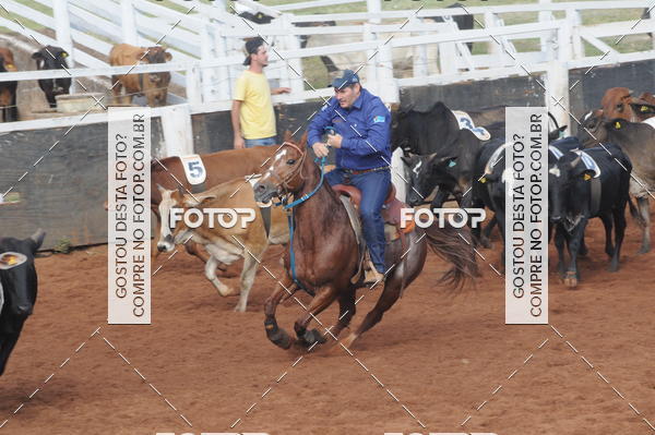 Buy your photos of the eventCAMPEONATO ACC TEAM PENNING SEGUNDA ETAPA on Fotop