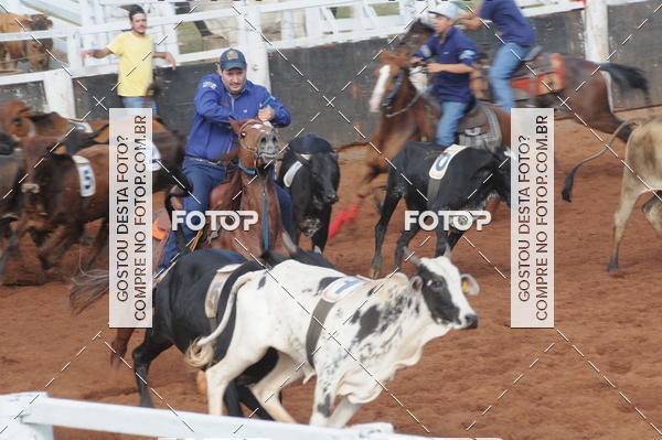 Buy your photos of the eventCAMPEONATO ACC TEAM PENNING SEGUNDA ETAPA on Fotop