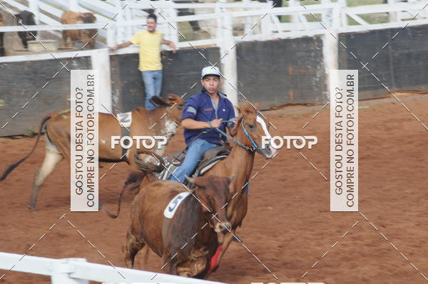 Buy your photos of the eventCAMPEONATO ACC TEAM PENNING SEGUNDA ETAPA on Fotop