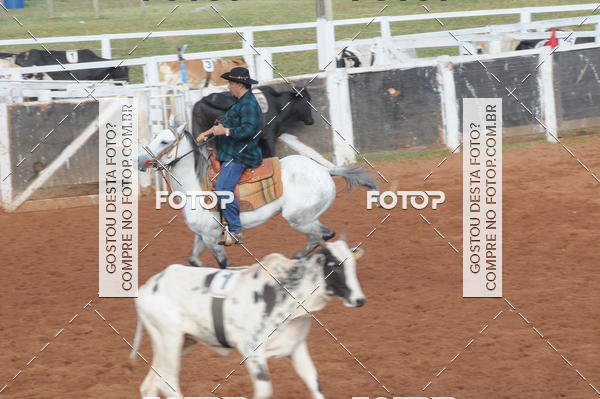 Buy your photos of the eventCAMPEONATO ACC TEAM PENNING SEGUNDA ETAPA on Fotop