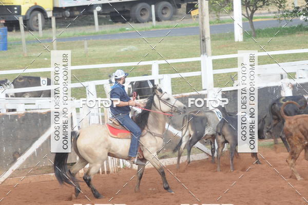 Buy your photos of the eventCAMPEONATO ACC TEAM PENNING SEGUNDA ETAPA on Fotop
