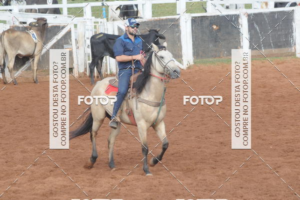 Buy your photos of the eventCAMPEONATO ACC TEAM PENNING SEGUNDA ETAPA on Fotop