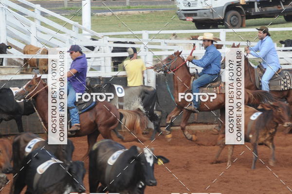 Buy your photos of the eventCAMPEONATO ACC TEAM PENNING SEGUNDA ETAPA on Fotop