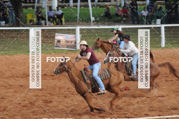 Buy your photos of the eventCAMPEONATO ACC TEAM PENNING SEGUNDA ETAPA on Fotop
