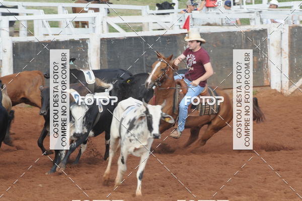 Buy your photos of the eventCAMPEONATO ACC TEAM PENNING SEGUNDA ETAPA on Fotop
