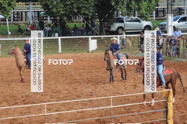 Buy your photos of the eventCAMPEONATO ACC TEAM PENNING SEGUNDA ETAPA on Fotop