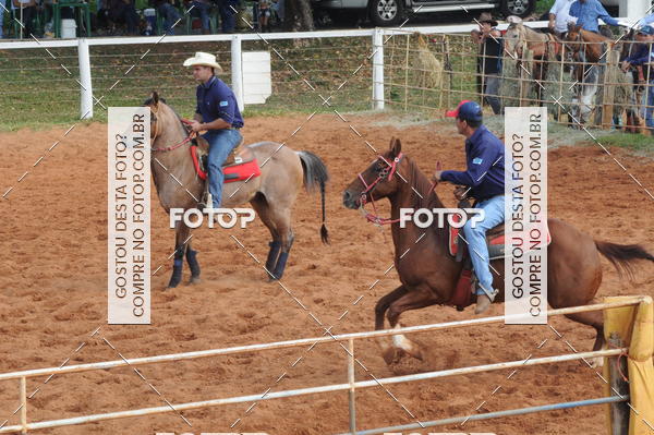 Buy your photos of the eventCAMPEONATO ACC TEAM PENNING SEGUNDA ETAPA on Fotop