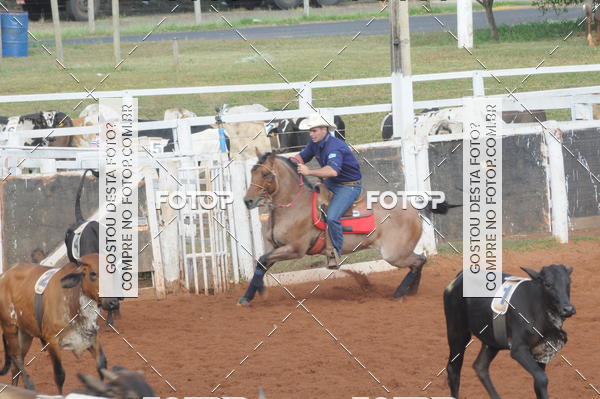 Buy your photos of the eventCAMPEONATO ACC TEAM PENNING SEGUNDA ETAPA on Fotop