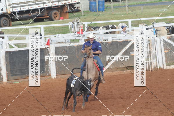 Buy your photos of the eventCAMPEONATO ACC TEAM PENNING SEGUNDA ETAPA on Fotop