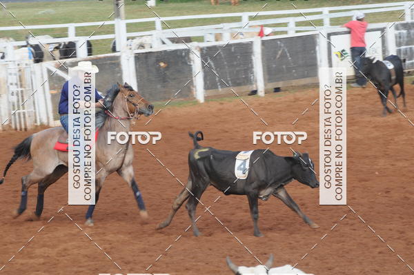 Buy your photos of the eventCAMPEONATO ACC TEAM PENNING SEGUNDA ETAPA on Fotop