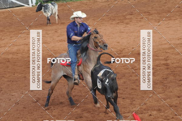 Buy your photos of the eventCAMPEONATO ACC TEAM PENNING SEGUNDA ETAPA on Fotop