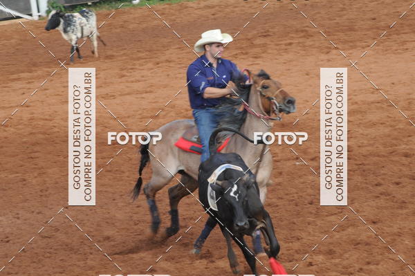 Buy your photos of the eventCAMPEONATO ACC TEAM PENNING SEGUNDA ETAPA on Fotop