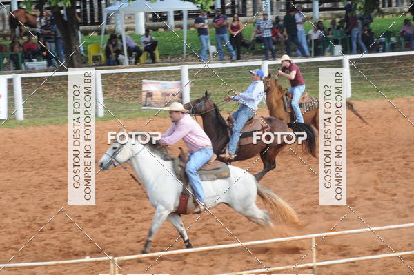 Buy your photos of the eventCAMPEONATO ACC TEAM PENNING SEGUNDA ETAPA on Fotop