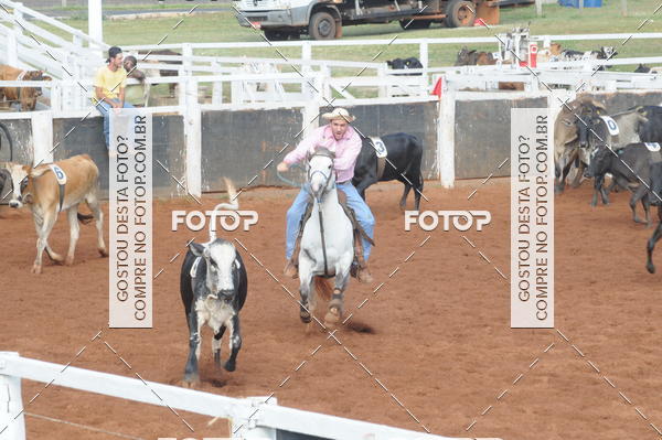 Buy your photos of the eventCAMPEONATO ACC TEAM PENNING SEGUNDA ETAPA on Fotop