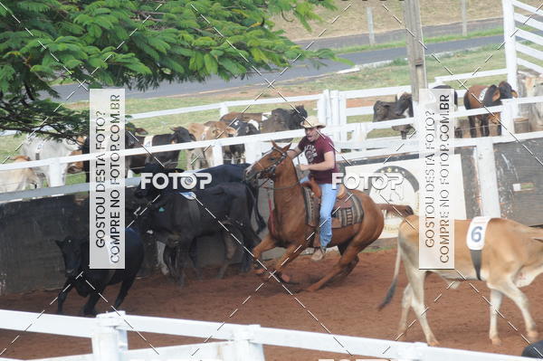 Buy your photos of the eventCAMPEONATO ACC TEAM PENNING SEGUNDA ETAPA on Fotop