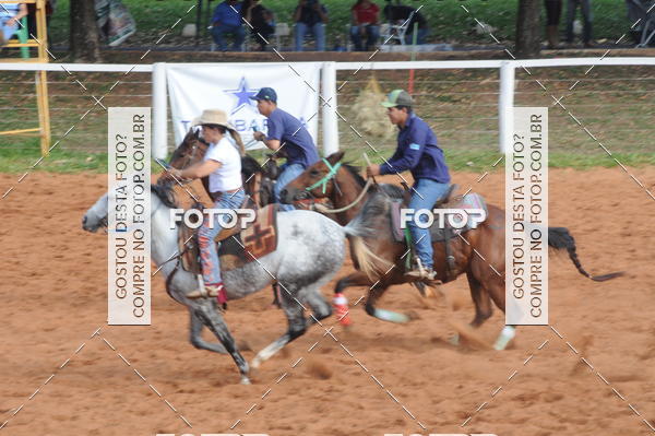 Buy your photos of the eventCAMPEONATO ACC TEAM PENNING SEGUNDA ETAPA on Fotop