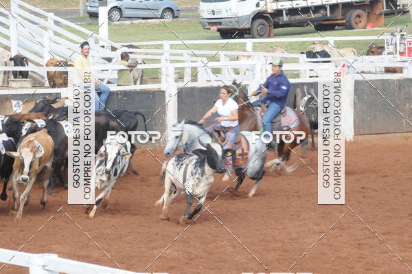 Buy your photos of the eventCAMPEONATO ACC TEAM PENNING SEGUNDA ETAPA on Fotop