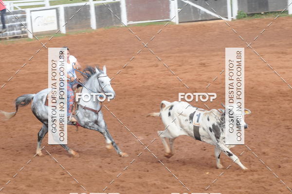 Buy your photos of the eventCAMPEONATO ACC TEAM PENNING SEGUNDA ETAPA on Fotop