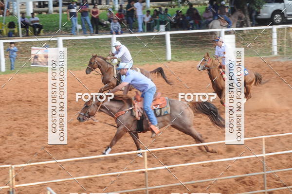 Buy your photos of the eventCAMPEONATO ACC TEAM PENNING SEGUNDA ETAPA on Fotop