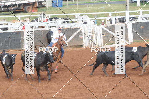 Buy your photos of the eventCAMPEONATO ACC TEAM PENNING SEGUNDA ETAPA on Fotop