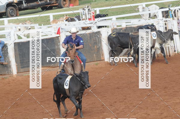 Buy your photos of the eventCAMPEONATO ACC TEAM PENNING SEGUNDA ETAPA on Fotop