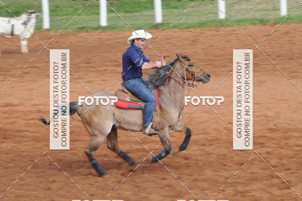 Buy your photos of the eventCAMPEONATO ACC TEAM PENNING SEGUNDA ETAPA on Fotop