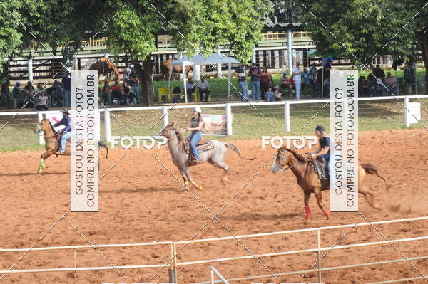 Buy your photos of the eventCAMPEONATO ACC TEAM PENNING SEGUNDA ETAPA on Fotop