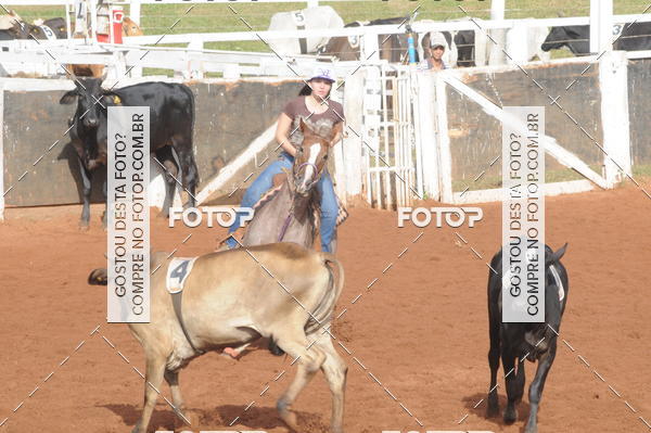 Buy your photos of the eventCAMPEONATO ACC TEAM PENNING SEGUNDA ETAPA on Fotop