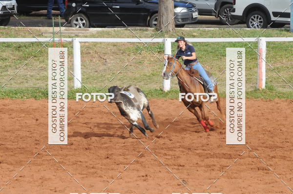 Buy your photos of the eventCAMPEONATO ACC TEAM PENNING SEGUNDA ETAPA on Fotop