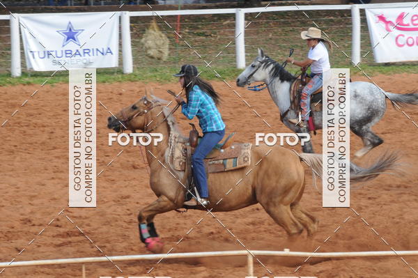 Buy your photos of the eventCAMPEONATO ACC TEAM PENNING SEGUNDA ETAPA on Fotop