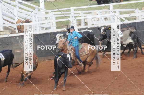 Buy your photos of the eventCAMPEONATO ACC TEAM PENNING SEGUNDA ETAPA on Fotop