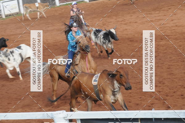Buy your photos of the eventCAMPEONATO ACC TEAM PENNING SEGUNDA ETAPA on Fotop