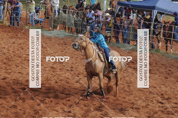 Buy your photos of the eventCAMPEONATO ACC TEAM PENNING SEGUNDA ETAPA on Fotop