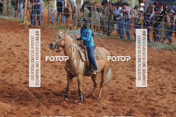 Buy your photos of the eventCAMPEONATO ACC TEAM PENNING SEGUNDA ETAPA on Fotop