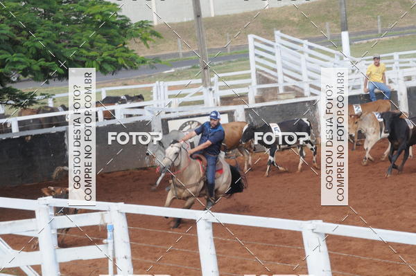 Buy your photos of the eventCAMPEONATO ACC TEAM PENNING SEGUNDA ETAPA on Fotop