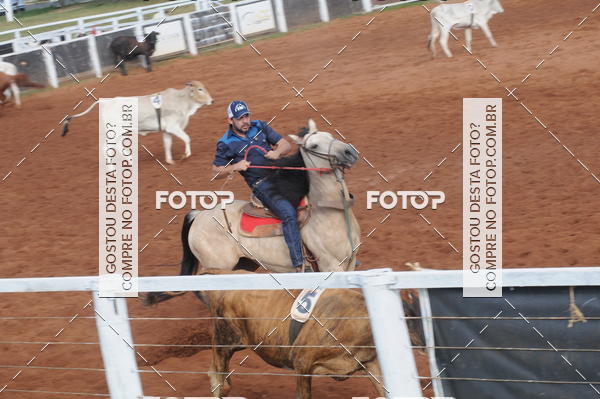 Buy your photos of the eventCAMPEONATO ACC TEAM PENNING SEGUNDA ETAPA on Fotop