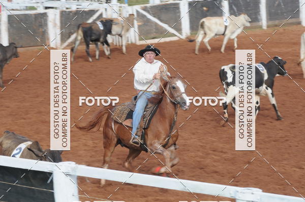 Buy your photos of the eventCAMPEONATO ACC TEAM PENNING SEGUNDA ETAPA on Fotop
