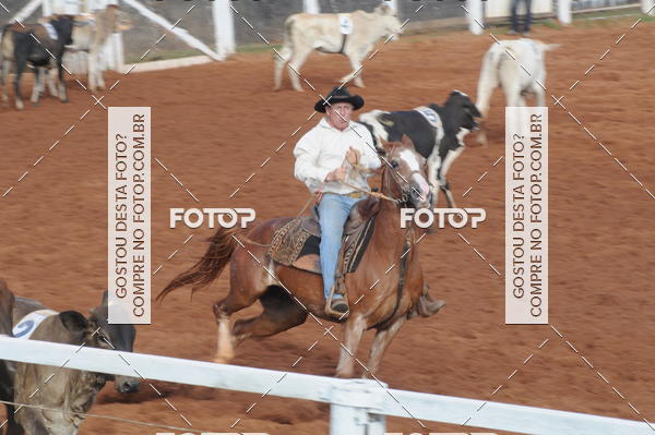 Buy your photos of the eventCAMPEONATO ACC TEAM PENNING SEGUNDA ETAPA on Fotop