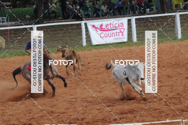 Buy your photos of the eventCAMPEONATO ACC TEAM PENNING SEGUNDA ETAPA on Fotop
