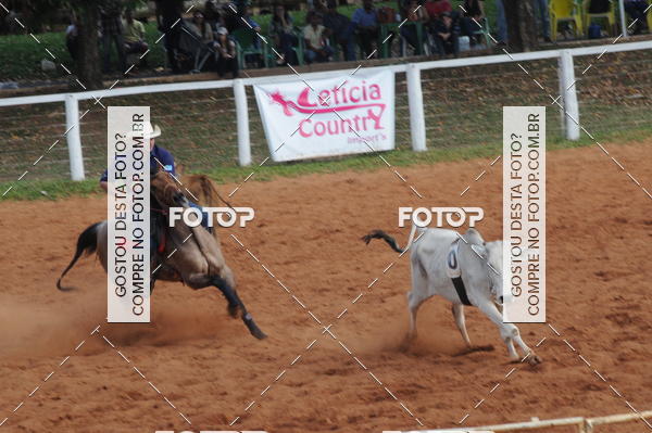 Buy your photos of the eventCAMPEONATO ACC TEAM PENNING SEGUNDA ETAPA on Fotop