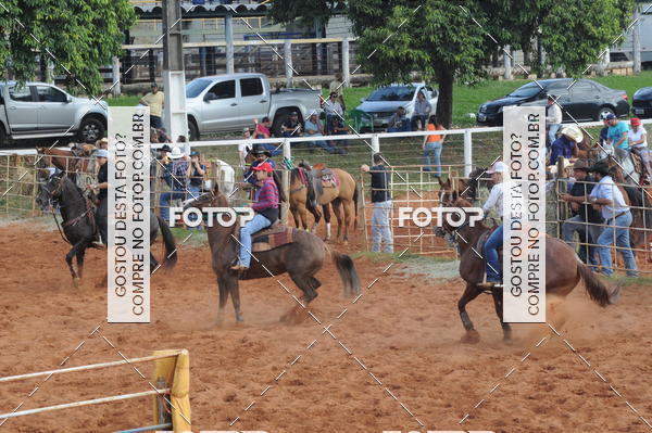 Buy your photos of the eventCAMPEONATO ACC TEAM PENNING SEGUNDA ETAPA on Fotop
