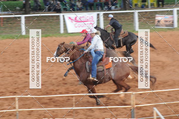 Buy your photos of the eventCAMPEONATO ACC TEAM PENNING SEGUNDA ETAPA on Fotop