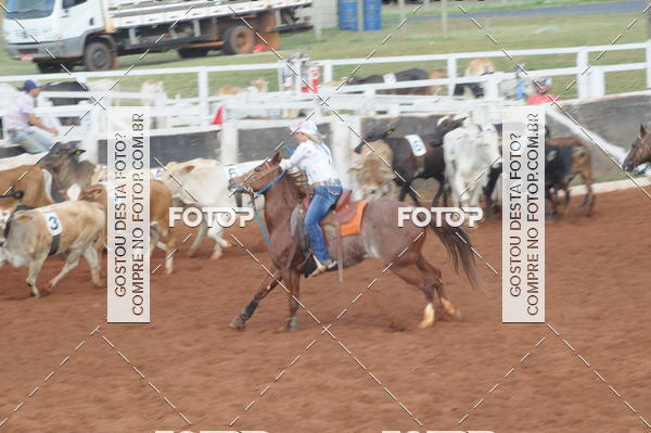 Buy your photos of the eventCAMPEONATO ACC TEAM PENNING SEGUNDA ETAPA on Fotop
