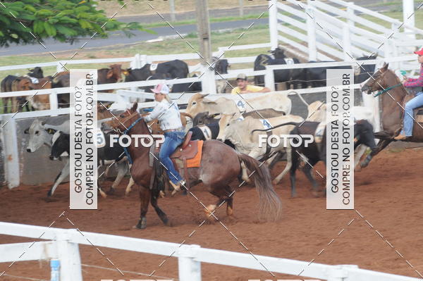 Buy your photos of the eventCAMPEONATO ACC TEAM PENNING SEGUNDA ETAPA on Fotop