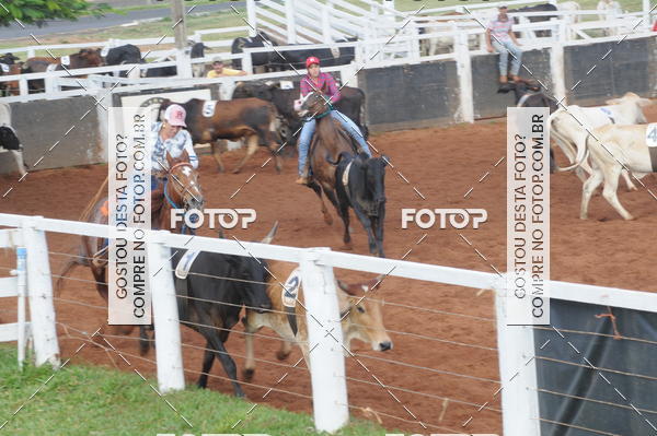 Buy your photos of the eventCAMPEONATO ACC TEAM PENNING SEGUNDA ETAPA on Fotop