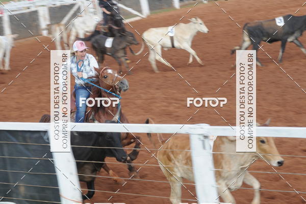 Buy your photos of the eventCAMPEONATO ACC TEAM PENNING SEGUNDA ETAPA on Fotop