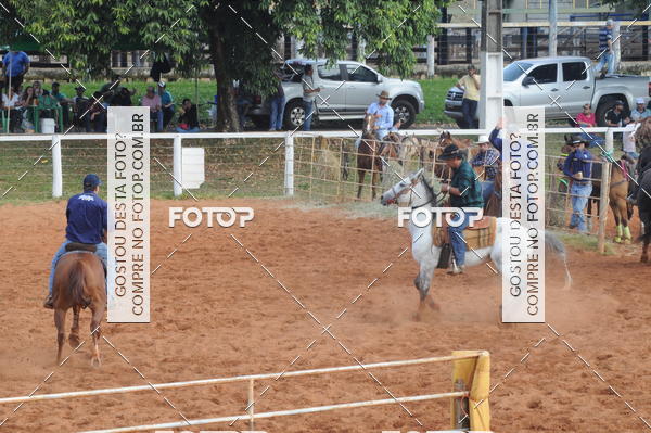 Buy your photos of the eventCAMPEONATO ACC TEAM PENNING SEGUNDA ETAPA on Fotop