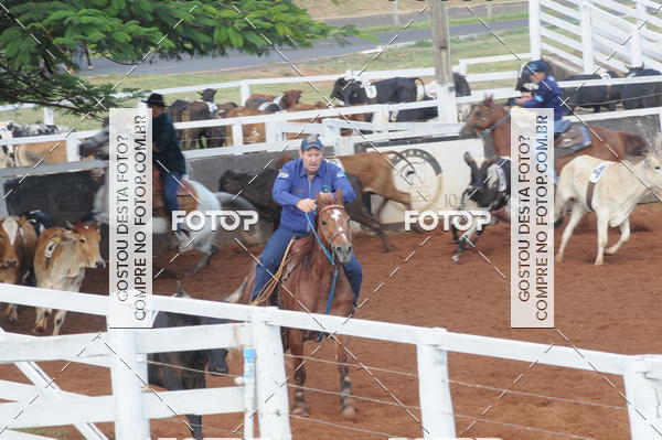 Buy your photos of the eventCAMPEONATO ACC TEAM PENNING SEGUNDA ETAPA on Fotop